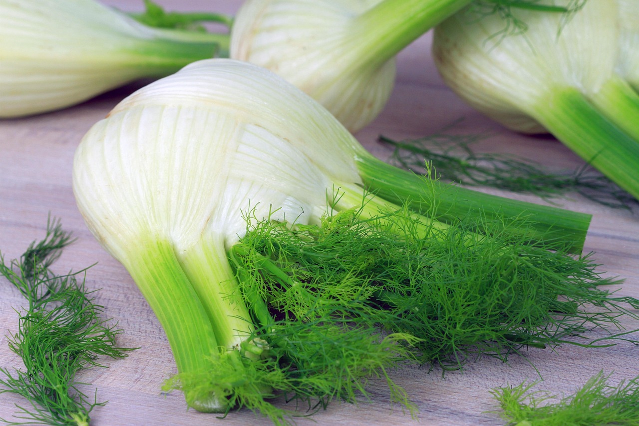 fennel