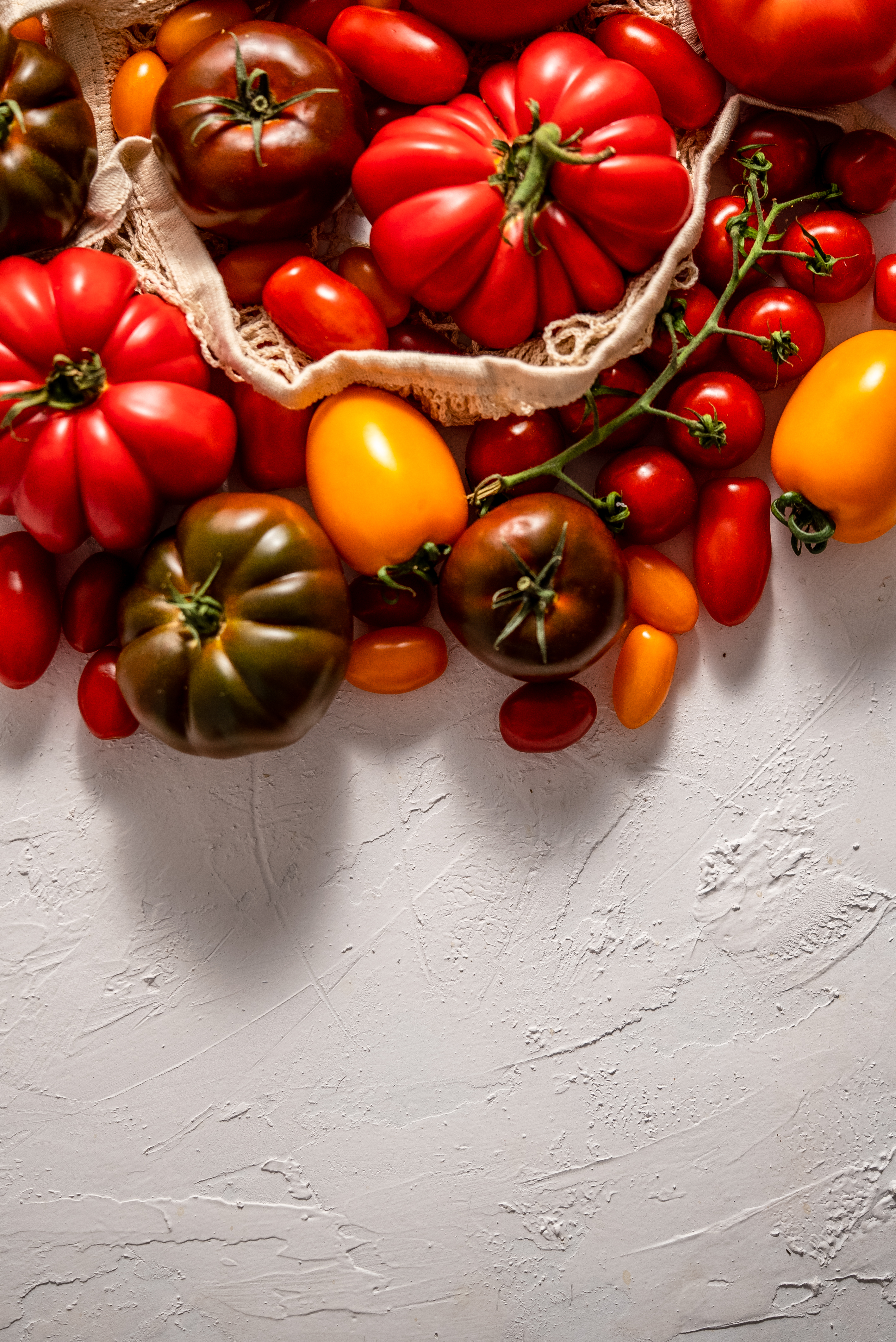 varietà di pomodori