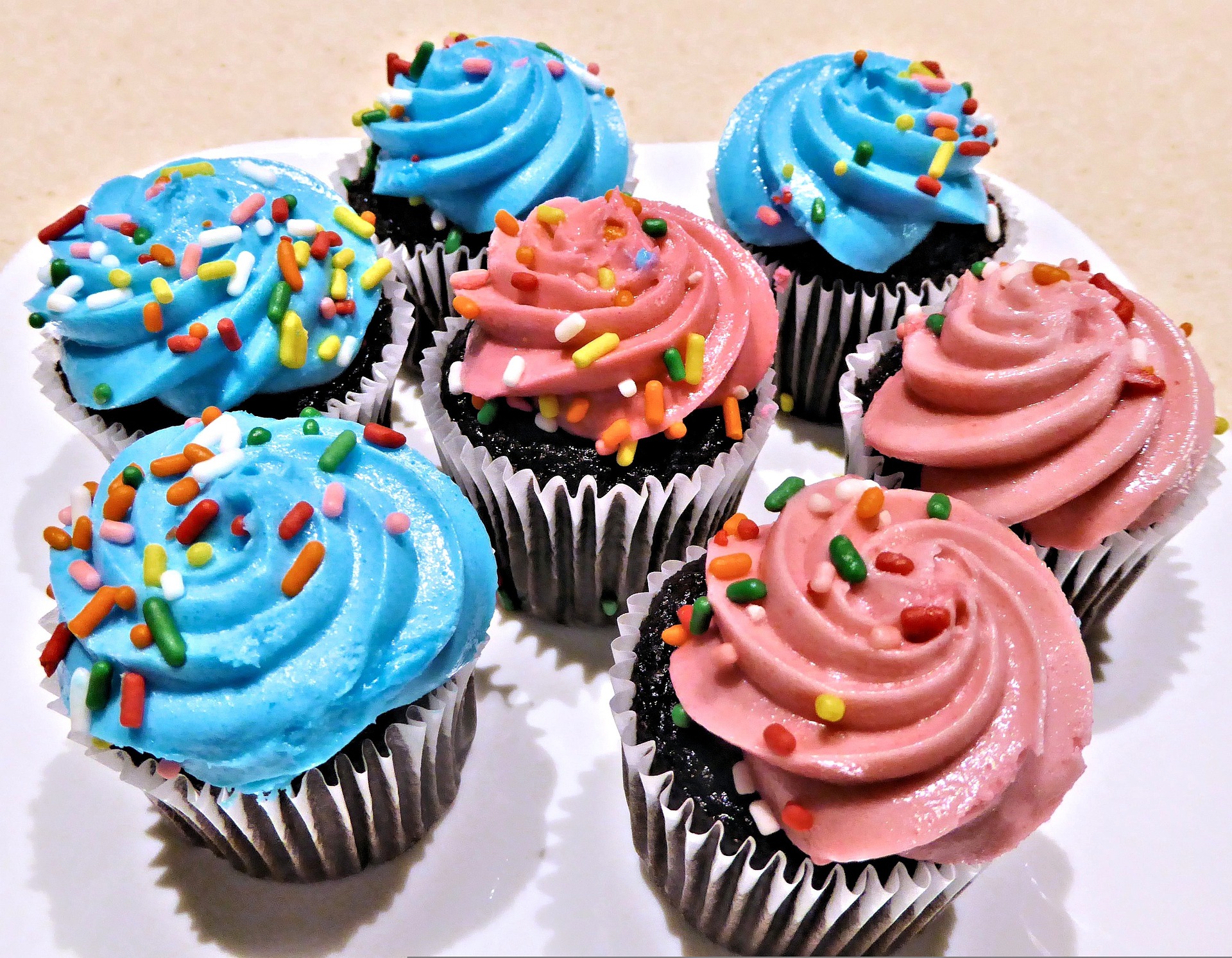 colourful cupcake